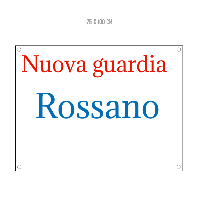 Banner striscione personalizzato in pvc occhiellato ( 100x75 )- banner personalizzabile con testo - foto - loghi - 100% Made in Italy