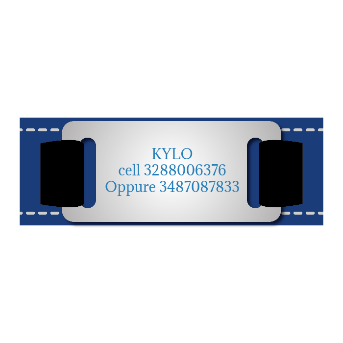 Collare cane personalizzato - collare cane personalizzabile con targhetta in metallo - linee Catarifrangenti - clip in abs - gancio per guinzaglio