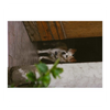 Puzzle Personalizzato 90 pezzi Con foto , testo o logo - Puzzle Personalizzabile - Idea Regalo per feste e Compleanni - 20x28,5 192 pezzi - 100% Made in Italy