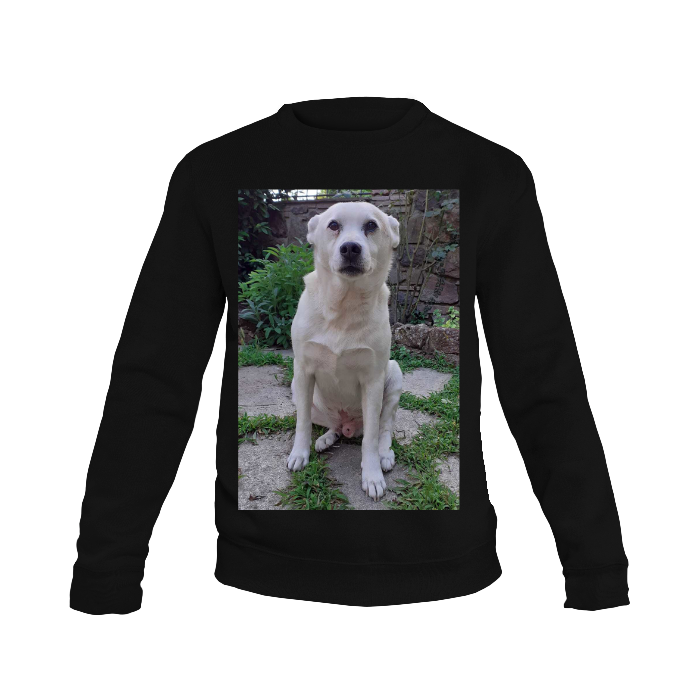 Felpa personalizzata - felpa personalizzabile girocollo uomo donna cotone tinta unita - con testo - foto e grafiche personalizzate