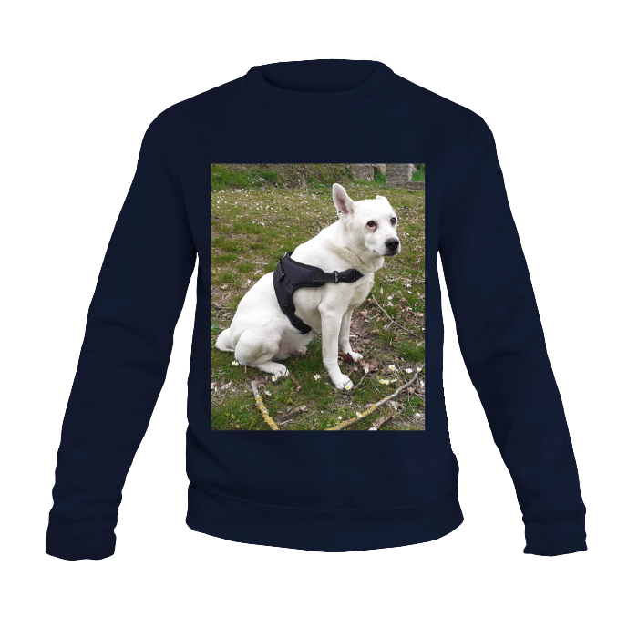 Felpa personalizzata - felpa personalizzabile girocollo uomo donna cotone tinta unita - con testo - foto e grafiche personalizzate